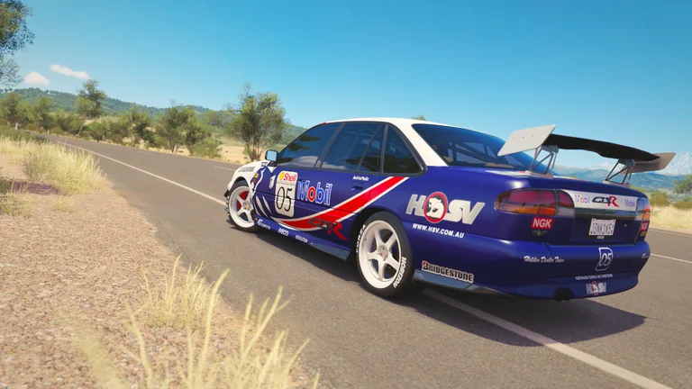 HSV GTS-R 1996 with Brock 1996 livery in Forza Horizon 3, captured 14 June 2019