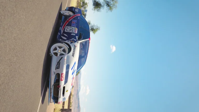 HSV GTS-R 1996 with Brock 1996 livery in Forza Horizon 3, captured 14 June 2019