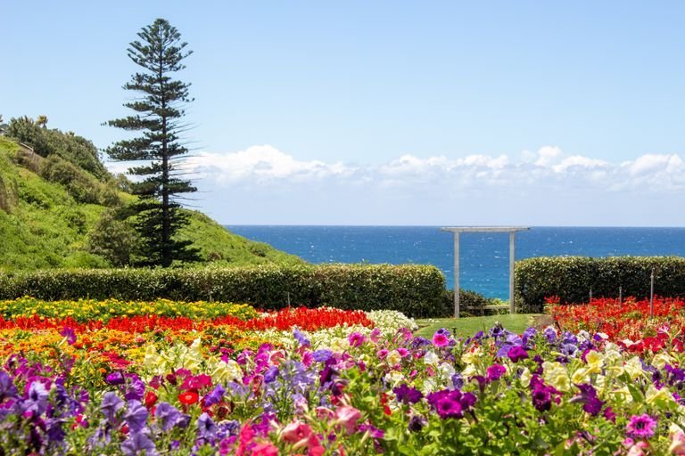 King Edward Park flower garden, Newcastle, Australia