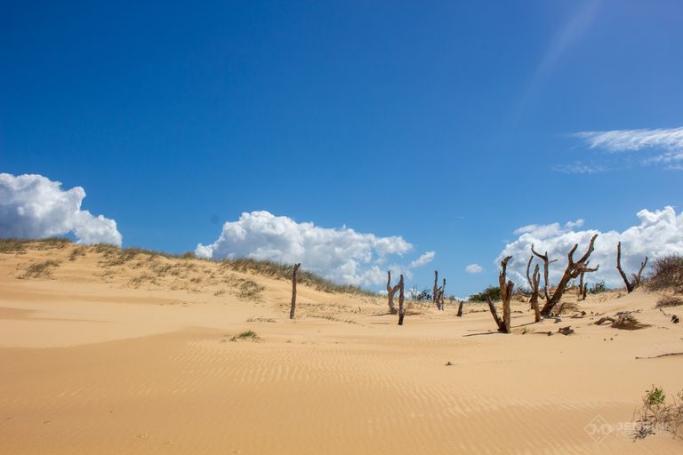 Stockton Sand Dunes, New South Wales, Australia